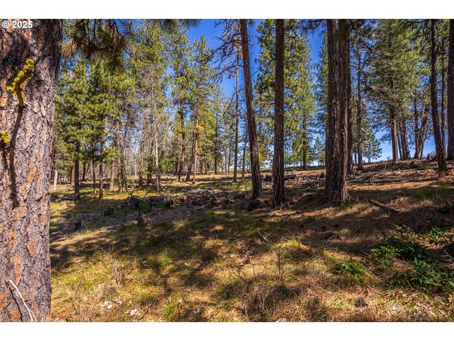 10 Outback Rd, Home with 0 bedrooms, 0 bathrooms and null parking in Goldendale WA | Image 5