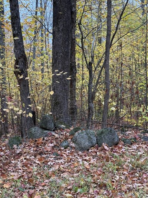 Lot 005 Greenwood Brook Road, Industry, ME, 04938 | Card Image