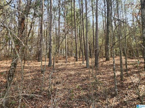 12-acres-0 State Highway 79, Remlap, AL, 35133 | Card Image