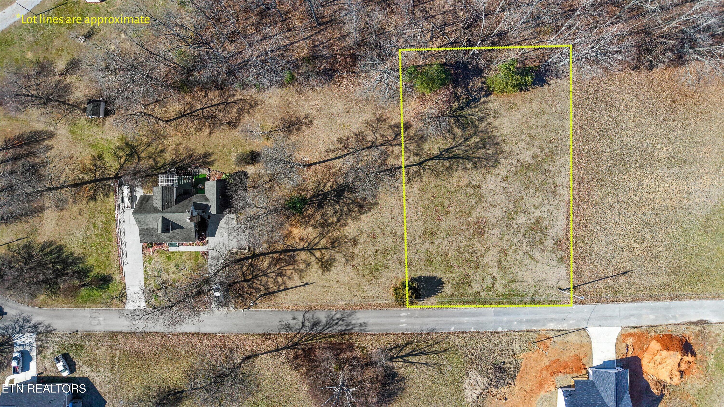 Land in Rutledge 5