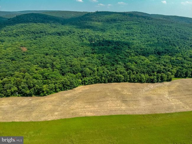 0 Heisey Rd, Home with 0 bedrooms, 0 bathrooms and null parking in SHIPPENSBURG PA | Image 7