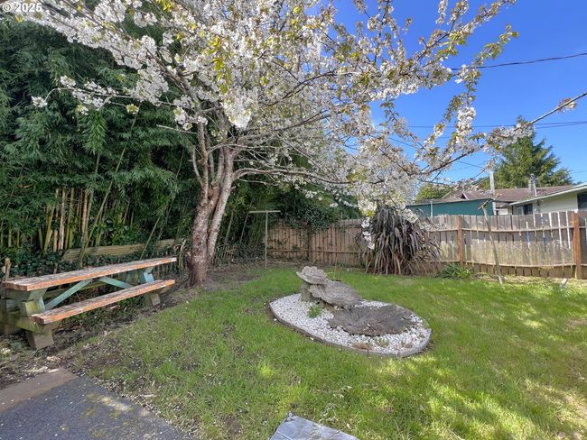 Backyard | Image 5