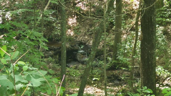 You can hear the creek babbling!!! | Image 10