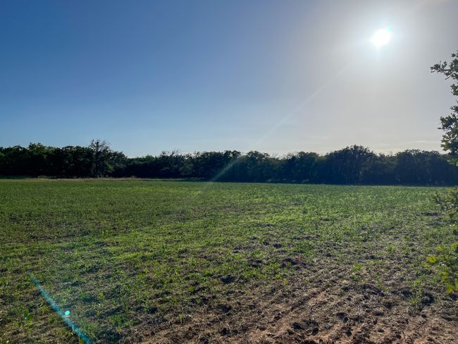 View of grassy yard featuring a rural view | Image 29