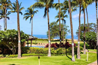 B204 - 940 S Kihei Rd, Condo with 1 bedrooms, 1 bathrooms and null parking in Kihei HI | Image 1