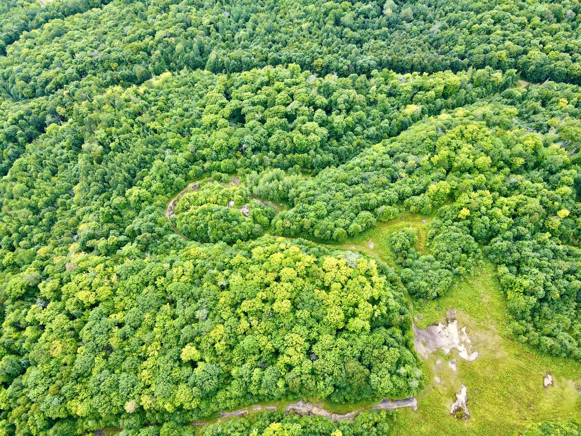 Land in Mandeville 3