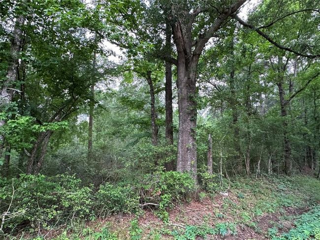0 Bailey Grove Rd, Home with 0 bedrooms, 0 bathrooms and null parking in Montgomery TX | Image 4