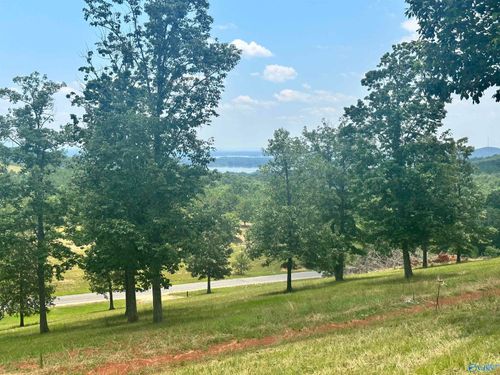 218-Lot 218 County Road 1022, Cedar Bluff, AL, 35959 | Card Image