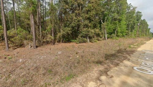 0000 Quail Hollow Rd, SATSUMA, FL, 32189 | Card Image