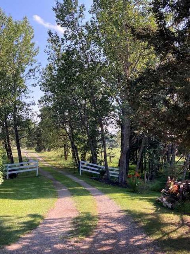 4540 Township Road 340, Home with 3 bedrooms, 3 bathrooms and 20 parking in Rural Mountain View County AB | Image 36