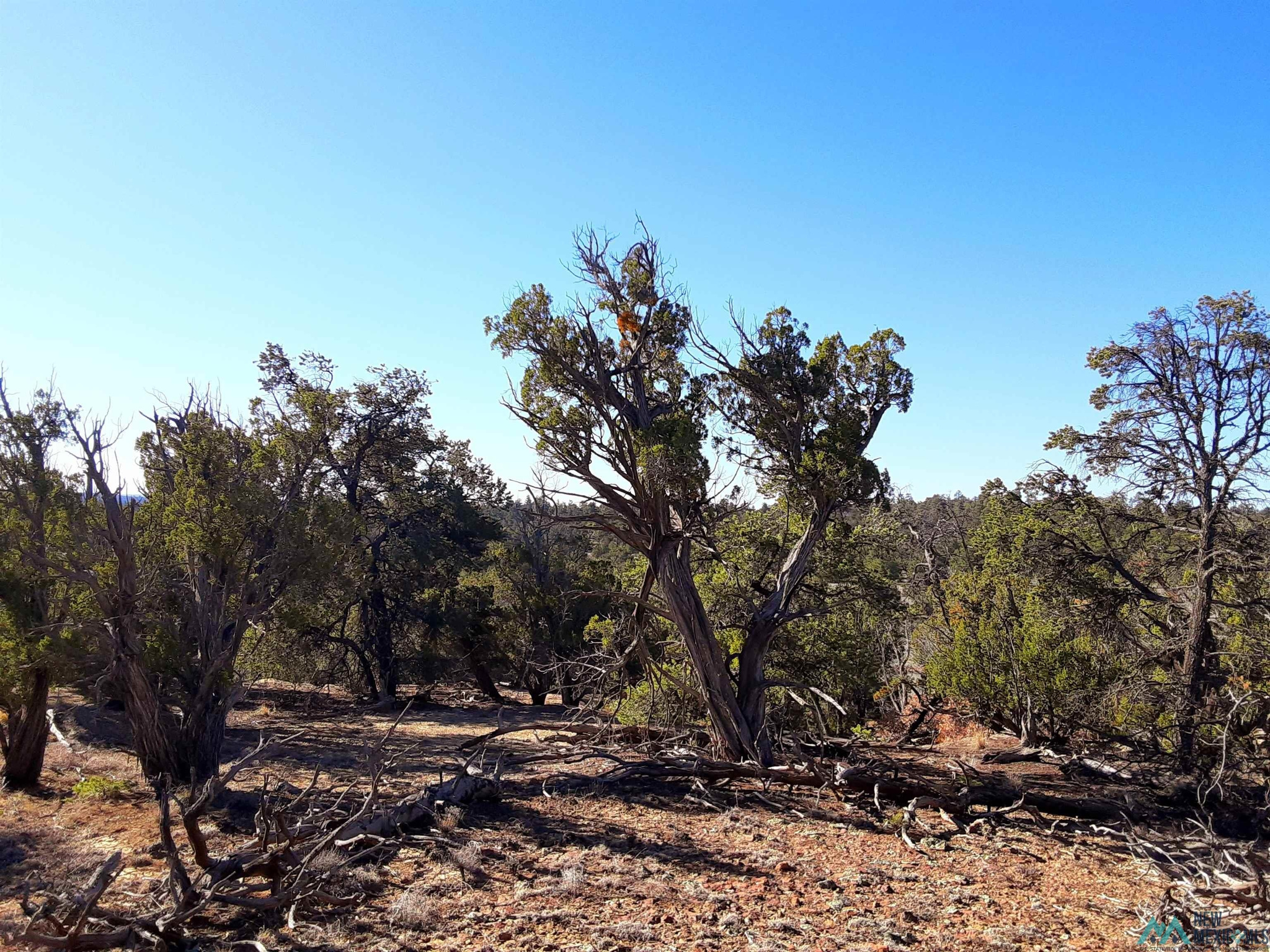 Land in Pinehill