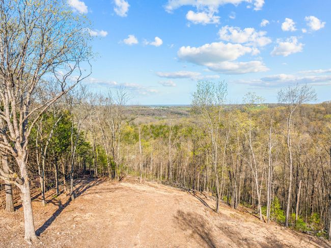 DDOWELL--16 | Image 4