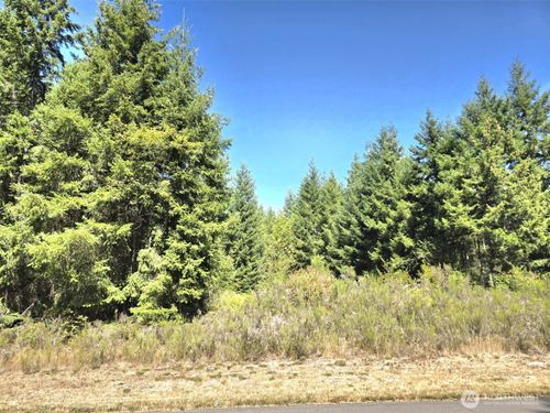 19710 146th Ave Se, Yelm, WA, 98597-7971 | Card Image