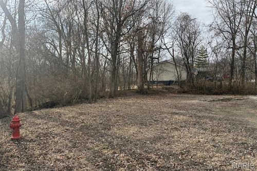 313 Park Street, Troy, IL, 62294 | Card Image