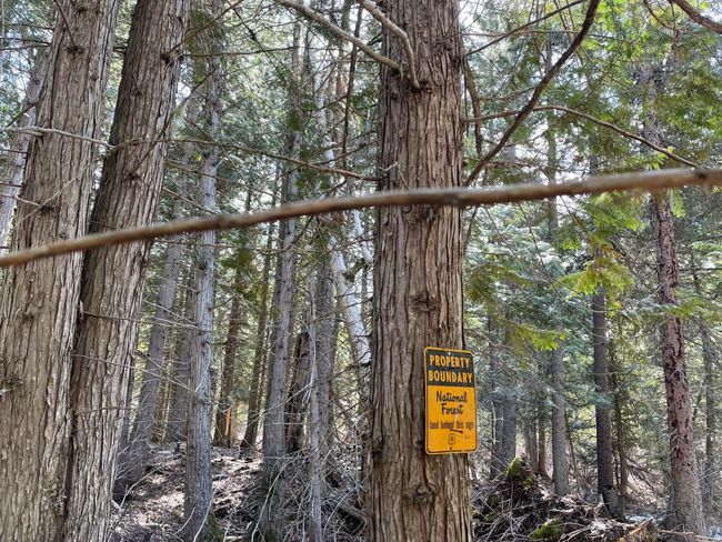 National Forest Sevice Boundary | Image 38