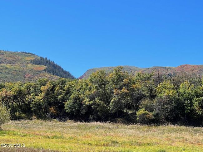 412 Red Bluffs Ln, Home with 0 bedrooms, 0 bathrooms and null parking in Eagle CO | Image 10