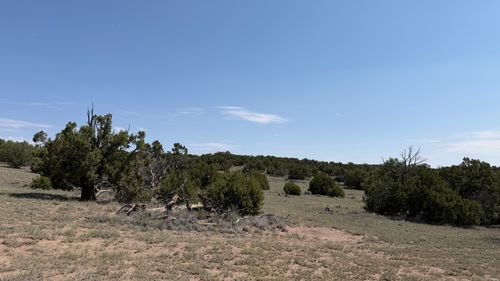 93-22 Running Bear Cir, Quemado, NM, 87829 | Card Image