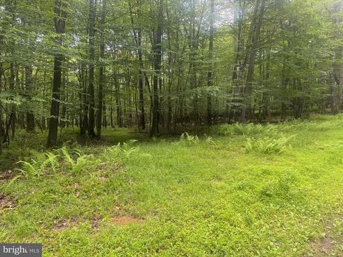 Lot 18 Buck Dr, OAKLAND, MD, 21550-7881 | Card Image