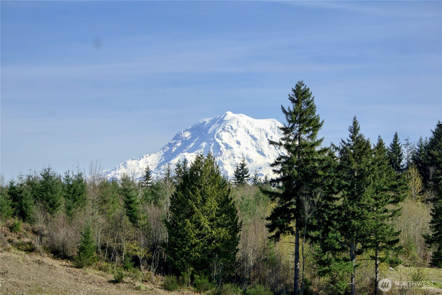Residential in Bonney Lake 2