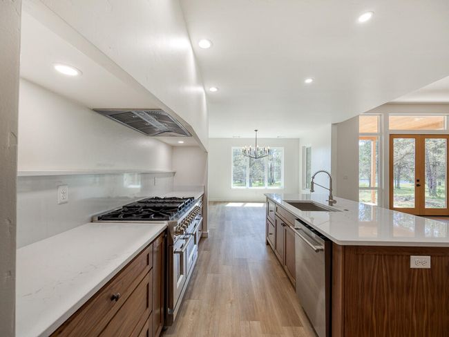1168 Paper Birch-15 | Image 15