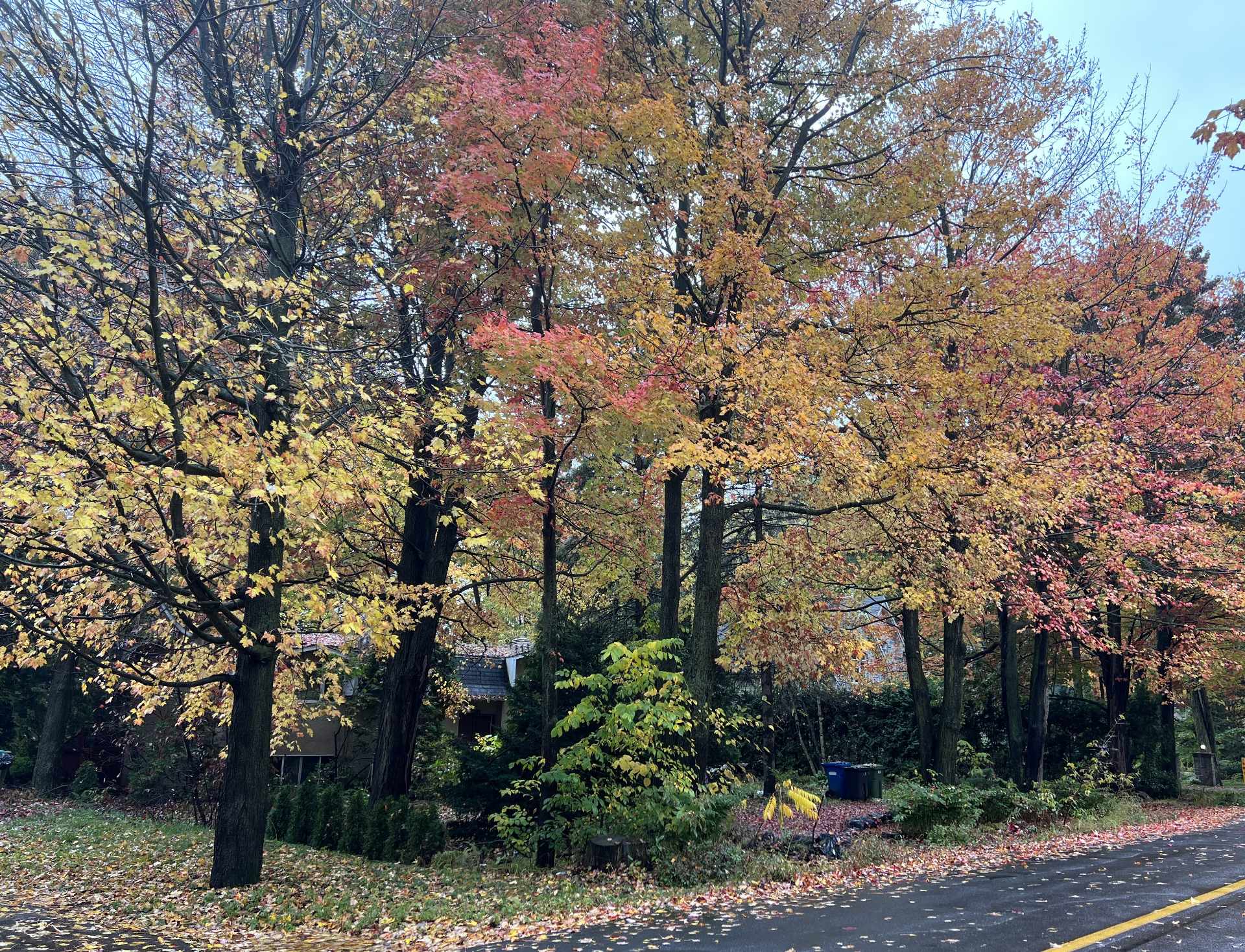 Residential in Otterburn Park