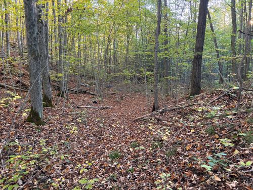 PT LT Naphan Rd, Roslin, ON, K0K2Y0 | Card Image