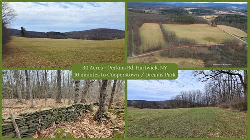 0 Perkins Road, Hartwick, NY, 13348 | Card Image