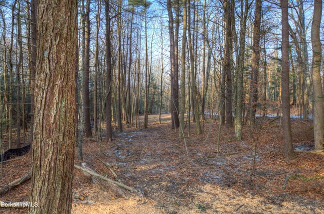 13 Rattlesnake Mtn Rd, Home with 0 bedrooms, 0 bathrooms and null parking in Stockbridge MA | Image 21