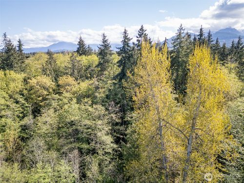 388-0 Roy St, Port Angeles, WA, 98362 | Card Image