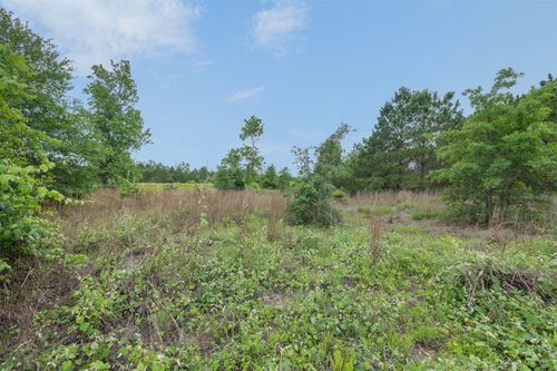 TBD Lot 20c County Road, Bastrop, TX, 78602 | Card Image