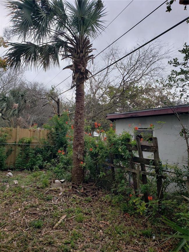 6997 Chestnut Dr, House other with 3 bedrooms, 2 bathrooms and null parking in Cocoa FL | Image 64