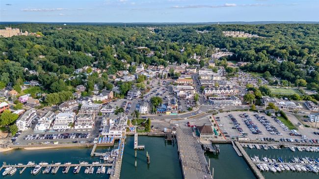 Aerial view with a view of trees and a water view | Image 36
