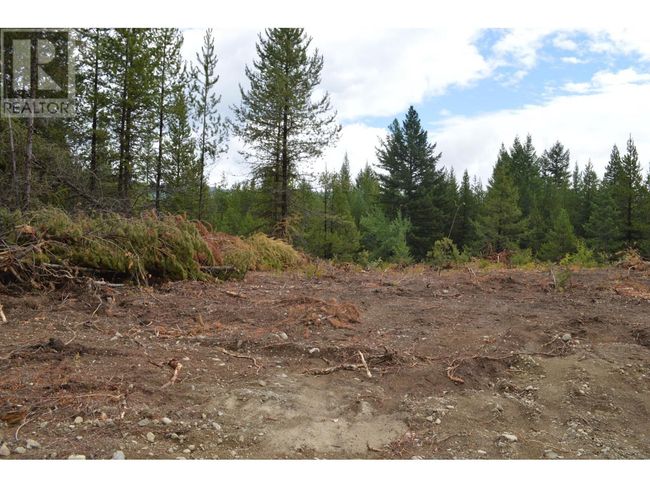 Lot 2 3 Rd St, Home with 0 bedrooms, 0 bathrooms and null parking in Kootenay Boundary BC | Image 13