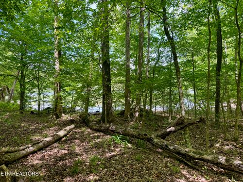 2 Eagle Ridge Rd, Kingston, TN, 37763 | Card Image