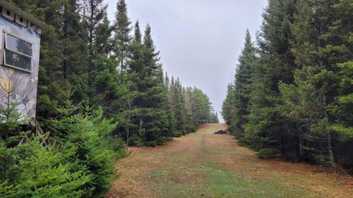 TBD Timber Wolf Trl Sw, Pine River, MN, 56474 | Card Image