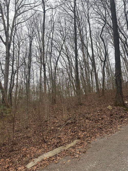 0 Shady Ln, Dunlap, TN, 37327 | Card Image