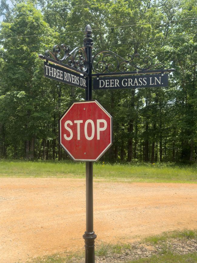 65 Deer Grass Ln, Home with 0 bedrooms, 0 bathrooms and null parking in Hurricane Mills TN | Image 8