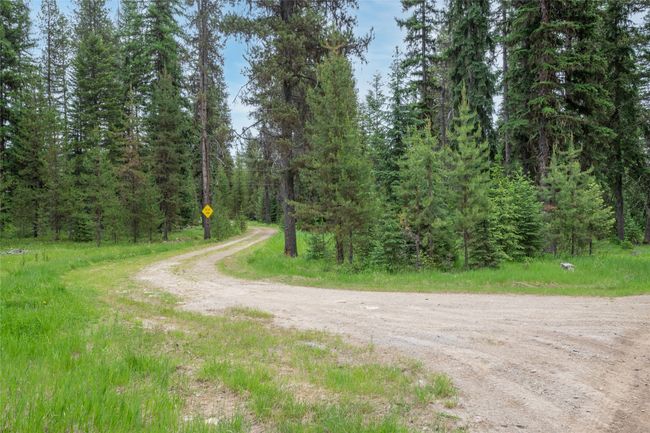 View of street featuring a view of trees | Image 19