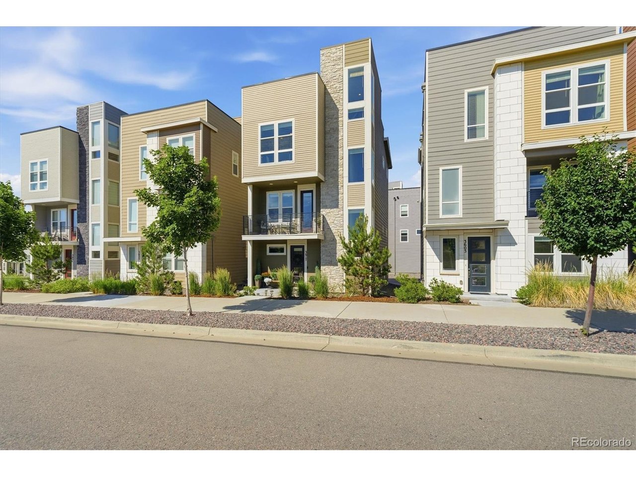 Residential in Castle Rock 4