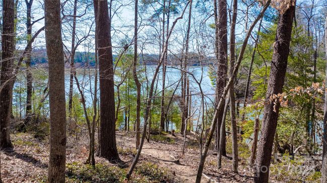 A gentle walk to your boat dock | Image 11