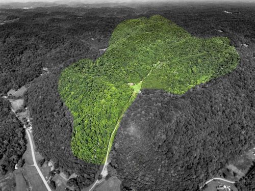 325 Cubb Ln, Gainesboro, TN, 38562-5200 | Card Image