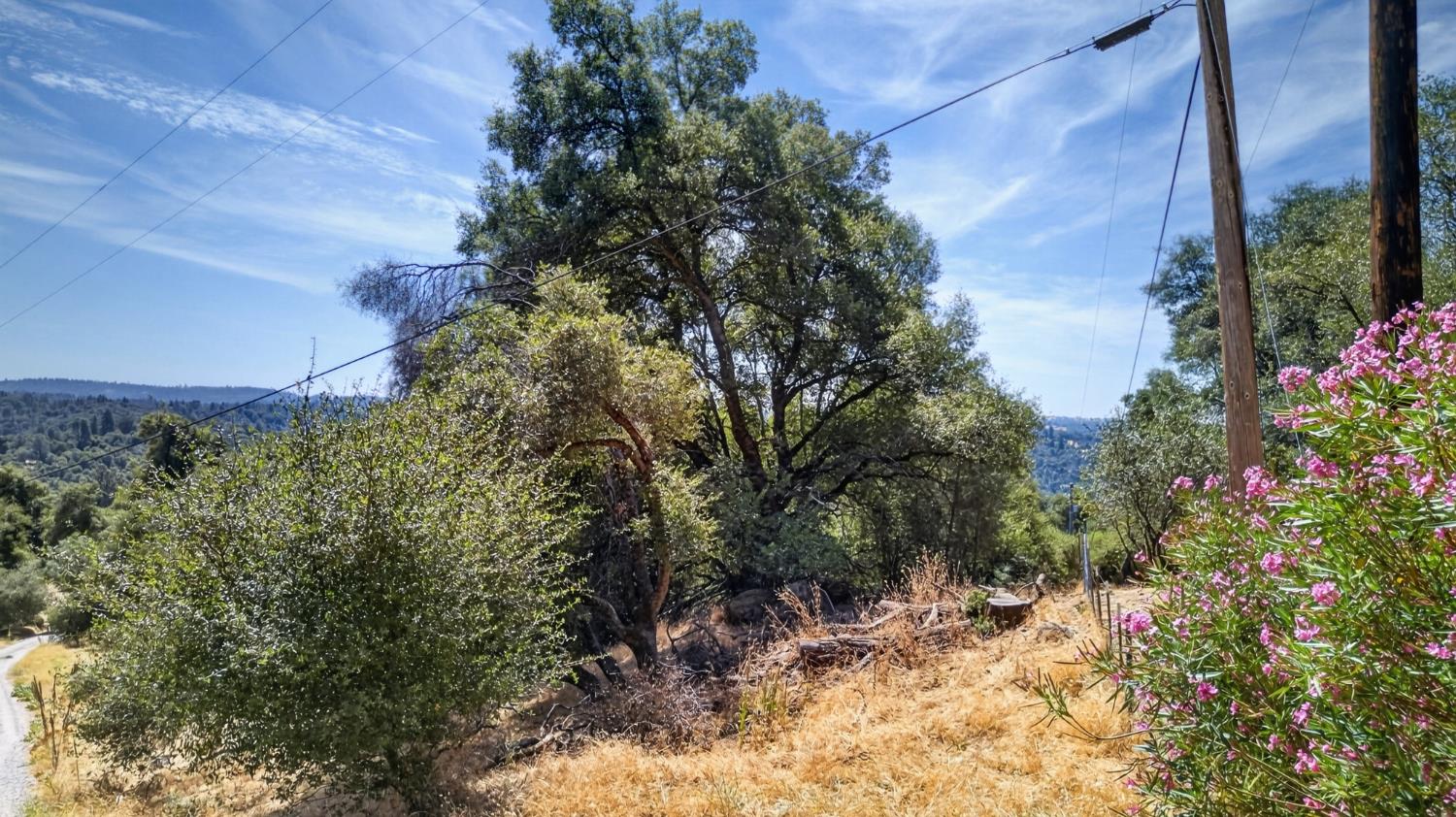 Land in Placerville 4