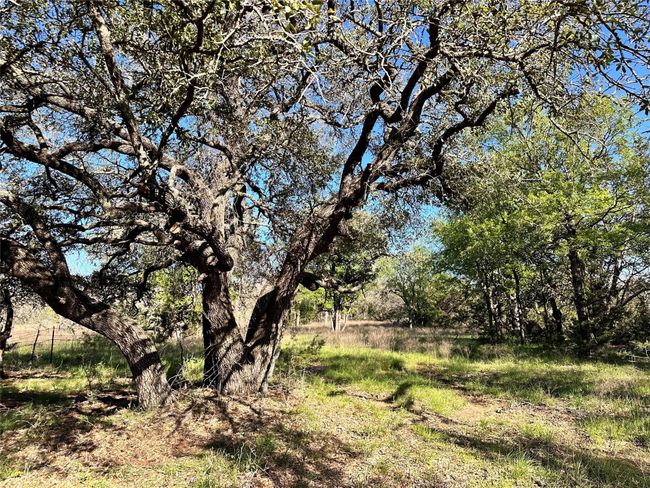 Lot 13 Cr 127, Home with 0 bedrooms, 0 bathrooms and null parking in Carlton TX | Image 8