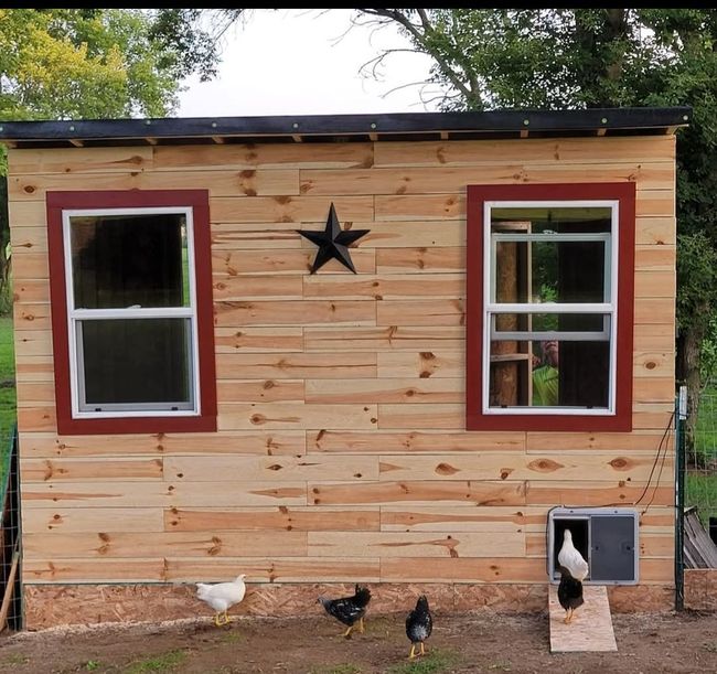 Chicken/Turkey Coop with electricity | Image 12