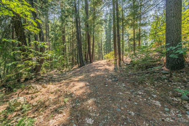 walking back from creek | Image 28