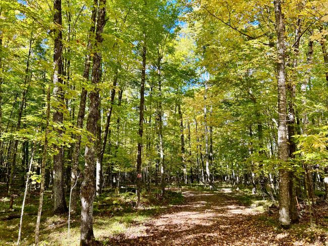 501 Arbutus Rd, House other with 2 bedrooms, 2 bathrooms and 2 parking in Pickerel WI | Image 6