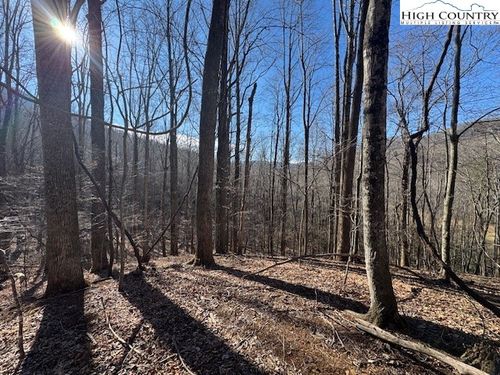 TBD Bald Mountain Rd, West Jefferson, NC, 28694 | Card Image