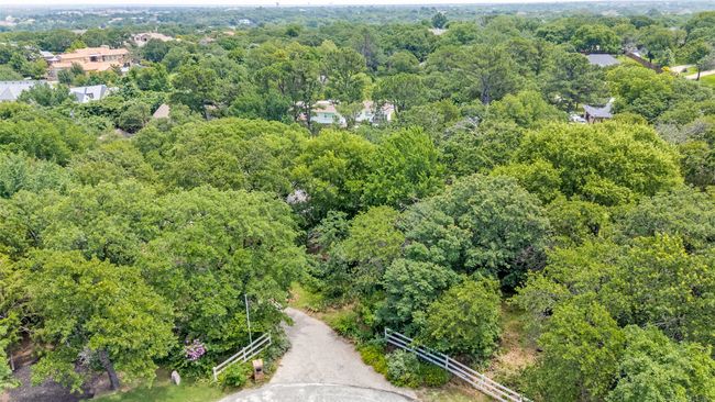 Aerial view. Beautiful trees | Image 28