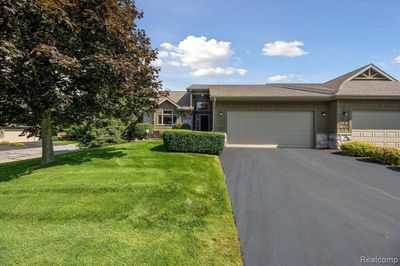 2308 Sugar Maple | Image 1