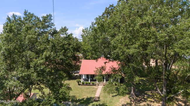 DJI_20250807112223_0031_D | Image 9